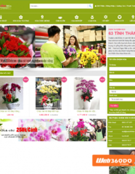 Thiết kế website hoa tươi