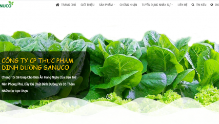 THIẾT KẾ WEBSITE - CÔNG TY CỔ PHẦN THỰC PHẨM DINH DƯỠNG SANUCO