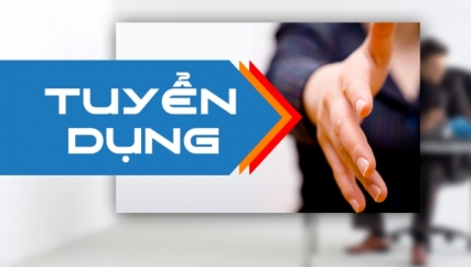 Web360do tuyển dụng