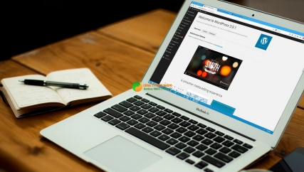 Các nền tảng như lazada, tiki traffic đều đến từ website