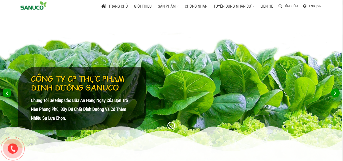 THIẾT KẾ WEBSITE - CÔNG TY CỔ PHẦN THỰC PHẨM DINH DƯỠNG SANUCO