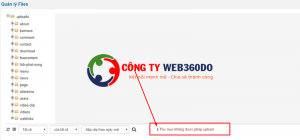 loi upanh len web nukeviet 300x140